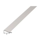 PLOSKA PALICA ALBERTS ALU, 30X2X2600 MM SIVO ELOKSORANA