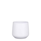 KERAMIČNI NOTRANJI LONEC MICA AMBER BEL MAT V13.5XP14CM