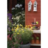 AMERIŠKI SLAMNIK VOLMARY PURPUREA MIX L19