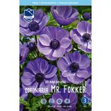 ANEMONA MR. FOKKER