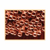 BAKRENA CEV 35X1 MM YORKSHIRE V PALICI