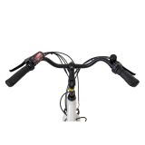 ELEKTRIČNO KOLO ECOBIKE BASIC NEXUS BELE BARVE MESTNO 71.12 CM (28")