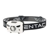 BATERIJSKA SVETILKA ENTAC 5W, S SENZORJEM, BELA