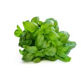 BAZILIKA L'ORTO FRUTTIFERO GENIALE L10