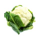 KAPUSNICE L'ORTO FRUTTIFERO BELA CVETAČA 4/1 SNOW PRINCE KULTIPAK