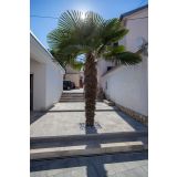 BETONSKA PLOŠČA SEMMELROCK ASTI COLORI PLOŠČA 60/30/5 CM, GRAFITNO BELA