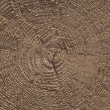 BETONSKA PLOŠČA SEMMELROCK STEPPING STONE 35/30/3.8-4.2 CM RJAVA