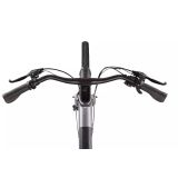 ELEKTRIČNO KOLO BIRD A FRAME GRANITNO SIVA