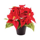 BOŽIČNA ZVEZDA BOŽIČNA ZVEZDA L11