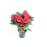 BOŽIČNA ZVEZDA MOUSE L11