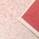 BRISAČA ZA PLAŽO SVILANIT GRADIANT PEACH 80X160 CM