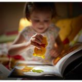 BRLIVKA PHILIPS WINNIE THE POOH 1X0.3WLED LED 71767/34/16 RUMENA