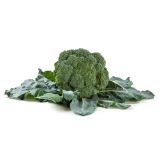 KAPUSNICE L'ORTO FRUTTIFERO BROKOLI 4/1 SPIRIDON F1 KULTIPAK