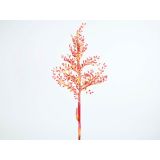 BROMELIJA VEJA 94CM ORANŽNA