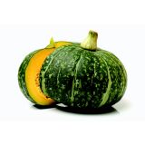 PLODOVKE L'ORTO FRUTTIFERO BUČA 1/1 DI CHIOGGIA L10