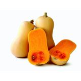 PLODOVKE L'ORTO FRUTTIFERO BUČA MASLENA 1/1 ZUCCA BUTTERNUT L10