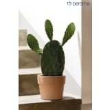 GLINENI ZUNANJI LONEC DEROMA CACHEPOT PERFETTO BELJEN 13 CM