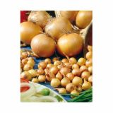 ČEBULA HOLLAND BULB MARKET STUTTGARTER 500G