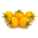PLODOVKE L'ORTO FRUTTIFERO ČEŠNJEV PARADIŽNIK 1/1 RUMENSTAR GOLD L10