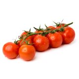 PLODOVKE L'ORTO FRUTTIFERO ČEŠNJEV PARADIŽNIK 4/1 PANAREA F1 KULTIPAK