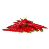 PLODOVKE L'ORTO FRUTTIFERO ČILI 1/1 LUNGO L14