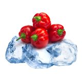 PLODOVKE L'ORTO FRUTTIFERO ČILI 1/1 PICCANTE COST RUGOSO L14