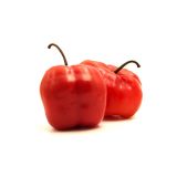 PLODOVKE L'ORTO FRUTTIFERO ČILI 1/1 ROCOTO L14