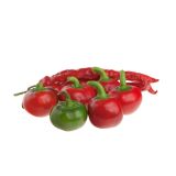 PLODOVKE L'ORTO FRUTTIFERO ČILI ČEŠNJA 1/1 HOT SMAL CHERRY F1 L10
