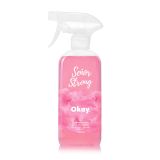 ČISTILO ZA VODNI KAMEN OKAY SENOR STRONG