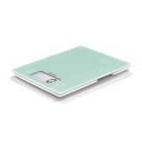 ELEKTRONSKA TEHTNICA SOEHNLE CITY ZELENA