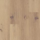 VINIL PLOŠČA, LVT WINFLEX CLASSIC PLUS HRAST THAMES 1102 1221X182X5 MM