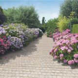 BETONSKI TLAKOVEC SEMMELROCK COBBLE STONE BARVA SLONOVINE