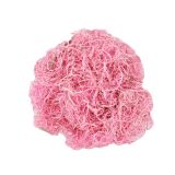 SUHO CVETJE CURLY MAH 100 G