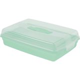 POSODA ZA SHRANJEVANJE CURVER 45X29.5X11.1 CM MINT