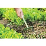 CVETLIČNO ORODJE WORTH GRABLJICE 5 ZOB