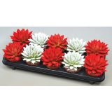 EŠEVERIJA BLEŠČICE 10.5L RDEČA IN BELA