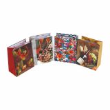 DARILNA VREČKA EKO ART B 180X100X227 MM