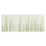 STENSKA PLOŠČICA GORENJE KERAMIKA VELA LIGHT GREEN GRASS B 20X50 DEKOR