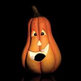 VSE ZA NOČ ČAROVNIC GLOSSTYLE BUČA KERAMIČNA MGO 43 CM