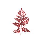 DEKORACIJA DECORIS RAZLIČNI LISTI, RDEČI 10/1, SORTIRANO