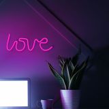 DEKORAT. STENSKA SVETILKA FOREVER NEON LED LOVE