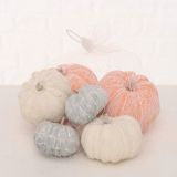 DEKORATIVNE BUČE, 7/1, SORT