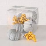 DEKORATIVNE BUČE, 9/1, SORT