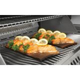 DEŠČICE ZA PEČENJE 67034 NAPOLEON