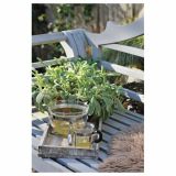 DIŠAVNICA VOLMARY GRŠKI PLANINSKI ČAJ 12 CM