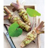 DIŠAVNICA VOLMARY WASABI RDEČ L12