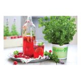 META VOLMARY ZELIŠČE ZA LIMONADO L12