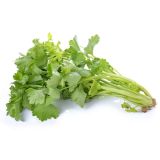 DIŠAVNICA ZELENA L10 CM