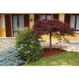 DOD.MAT.ZA KAM.IZD. ZANDOBBIO ALUBORD 250X10CM