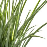 DODATEK ATMOSPHERE UMETNO CVETJE V LONČKU, TRAVA-BEŽ